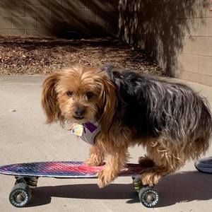 Meet your Posher, Cheryl